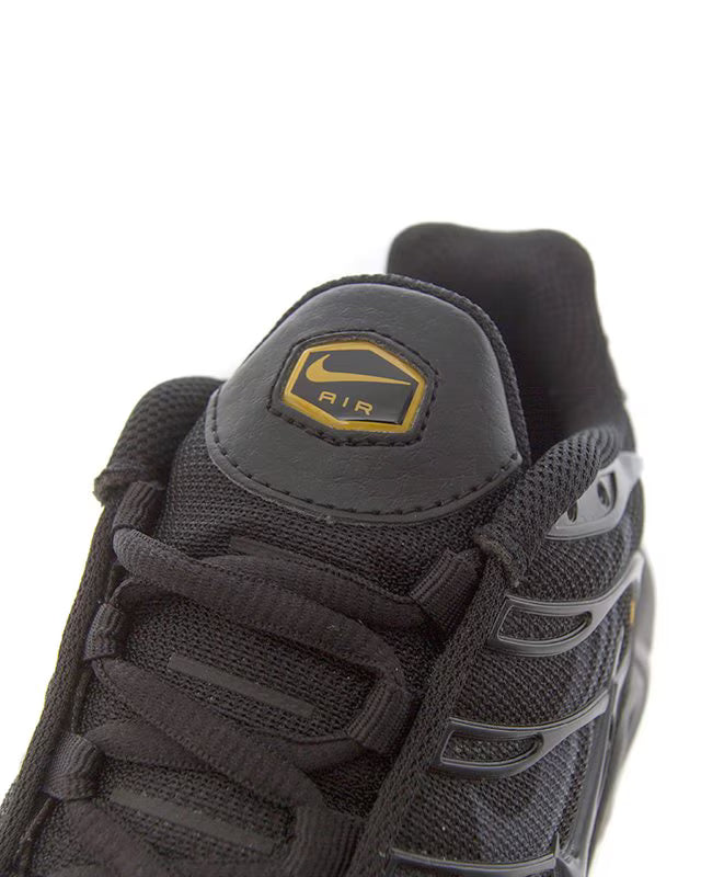 Nike Air Max Plus Multi Swoosh